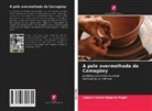 Lázaro David Najarro Pujol - A pele avermelhada de Camagüey
