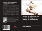 Elham Salamatnia - Études de réduction des pertes électriques du réseau de distribution