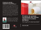 Oyeyinka Jide - Privation de sommeil, morphologie des cellules sanguines et anémie ferriprive