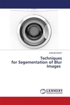 Shalini Sahay - Techniques for Segementation of Blur Images