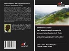Teresa López Seijas, Juan Carlos Pozo Vázquez - Determinazione dell'evapotraspirazione in giovani piantagioni di Cedr
