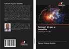 Mansur Yahaya Ibrahim - Sensori di gas a nanofilo