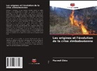 Maxwell Zhira - Les origines et l'évolution de la crise zimbabwéenne