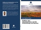 Jean-Baptiste Essan - Einfluss des Ananasanbaus auf die Entwicklung von Bonoua