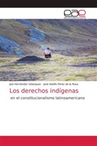 Joel Hernández Velazquez, José Adolfo Pérez de la Rosa - Los derechos indígenas