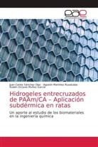 Agustín Martínez Ruvalcaba, Rubén Octavio Muñoz García, Juan Carlos Sánchez Díaz - Hidrogeles entrecruzados de PAAm/CA - Aplicación subdérmica en ratas