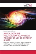 Roberto Guillermo Gomes - ANTOLOGÍA DE MEDITACIÓN ADVAITA II: Realizar al Ser es conocer a Dios