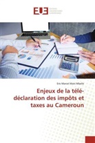Eric Marcel Mani Mbelle - Enjeux de la télé-déclaration des impôts et taxes au Cameroun
