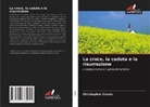 Christopher Cronin - La croce, la caduta e la risurrezione