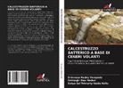 Satya Sai Trimurty Naidu Kolla, Seshagiri Rao Meduri, Srinivasa Reddy Vempada - CALCESTRUZZO BATTERICO A BASE DI CENERI VOLANTI
