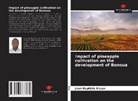 Jean-Baptiste Essan - Impact of pineapple cultivation on the development of Bonoua