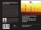 Brian Sinkala Mainza, Francis Yamba - Le mélange d'énergie éolienne et hydroélectrique: Une étude de cas pour la Zambie