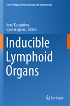 Egawa, Egawa, Gyohei Egawa, Kenj Kabashima, Kenji Kabashima - Inducible Lymphoid Organs