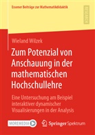 Wieland Wilzek - Zum Potenzial von Anschauung in der mathematischen Hochschullehre