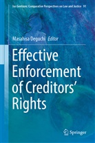 Masahis Deguchi, Masahisa Deguchi - Effective Enforcement of Creditors' Rights
