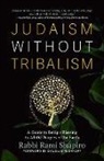 Rabbi Rami Shapiro - Judaism Without Tribalism