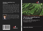 Alessandro Shirokov - Strutture superficiali di A. brasilense