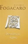 Antonio Fogacaro - Pesnikova tajna