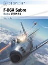Peter E Davies, Peter E. Davies, Gareth Hector, Jim Laurier - F-86A Sabre