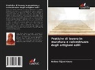 Halima Tijjani Kaura - Pratiche di lavoro in muratura e calcestruzzo degli artigiani edili