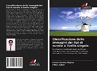 Imran Sarwar Bajwa, Irfan Hyder - Classificazione delle immagini dei tipi di nuvole a livello singolo