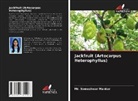 Mr. Someshwar Mankar, Someshwar Mankar - Jackfruit (Artocarpus Heterophyllus)