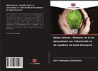 Jairo Velásquez Chumpitaz - Notes brèves : Histoire de la loi péruvienne sur l'électricité et du système de sous-transport