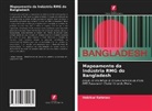 Habibur Rahman - Mapeamento da Indústria RMG do Bangladesh