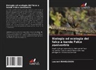 Laurent RAVELOSON - Biologia ed ecologia del falco a bande Falco zoniventris
