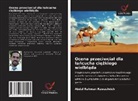 Abdel Rahman Rawashdeh - Ocena przeciwcial dla lancucha ciezkiego wielblada