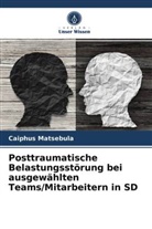 Caiphus Matsebula - Posttraumatische Belastungsstörung bei ausgewählten Teams/Mitarbeitern in SD
