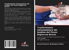 Ricardo Becerro de Bengoa Vallejo - Trasferimento intramedulare del tendine del Flexor Digitorum Brevis
