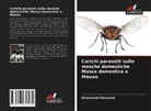 Emmanuel Onyenwe - Carichi parassiti sulle mosche domestiche Musca domestica a Mouau