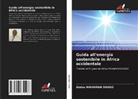 Abdou Mahaman Dango - Guida all'energia sostenibile in Africa occidentale