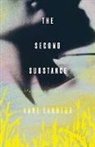 Anne Lardeux - The Second Substance