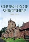 David Paul - Churches of Shropshire