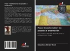 Sebastián  Adrián Mayol, Sebastián Adrián Mayol - Flussi transfrontalieri tra posadas e encarnación