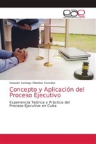 Salvador Santiago Villalobos González - Concepto y Aplicación del Proceso Ejecutivo
