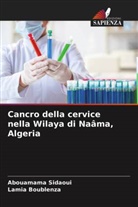 Lamia Boublenza, Abouamama Sidaoui - Cancro della cervice nella Wilaya di Naâma, Algeria