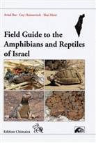 Avid Bar, Guy Haimovitch, Sgai Meiri - Field Guide to the Amphibians and Reptiles of Israel