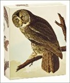 John James Audubon - Audubon Owls QuickNotes