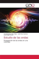 Leila Pérez Santana, Laura Rego Pereira, Amelia Beatriz Ulloa Felipe - Estudio de las ondas
