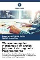 Isaa Ampofo Atta Senior, Isaac Ampofo Atta Senior, WAHAB KYEREFOUR - Wahrnehmung der Mathematik im ersten Jahr und Leistung beim Programmieren