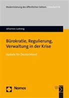 Johannes Ludewig - Bürokratie, Regulierung, Verwaltung in der Krise