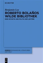 Benjamin Loy - Roberto Bolaños wilde Bibliothek