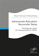 Bijan Kianoush Riesenberg - Adversariale Robustheit Neuronaler Netze. Verteidigungen gegen Vermeidungsangriffe zur Testzeit