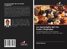 Vinod Kumar - La meraviglia dei tre frutti (Triphala)
