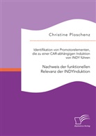 Christine Ploschenz - Identifikation von Promotorelementen, die zu einer CAR-abhängigen Induktion von INDY führen. Nachweis der funktionellen Relevanz der INDYInduktion