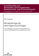 Elfi Lüdecke, Christoph Teichmann - Minderjährige als Vermögensnachfolger