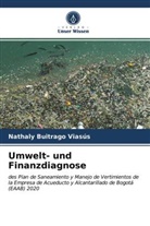 Nathaly Buitrago Viasús - Umwelt- und Finanzdiagnose